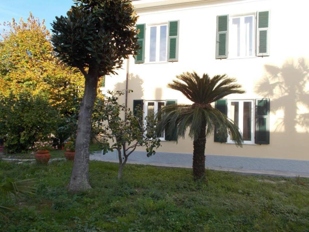 B&B Rossana Carrara Exterior photo